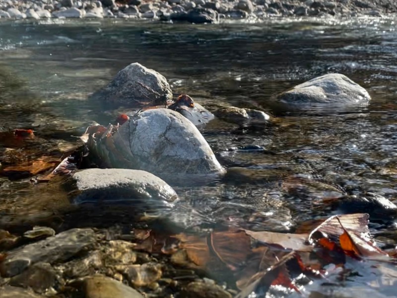 2min Okutama River&nbsp;Meditation