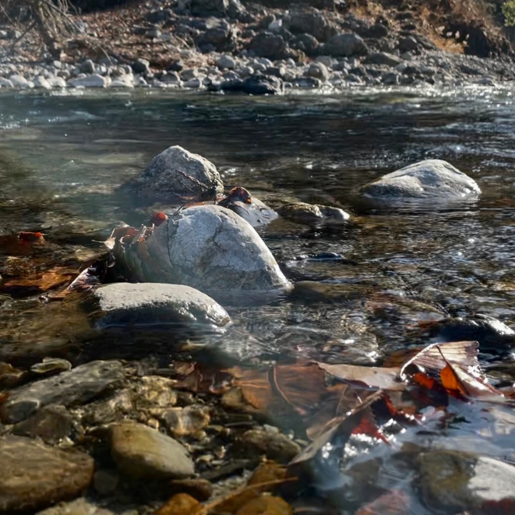2min Okutama River&nbsp;Meditation