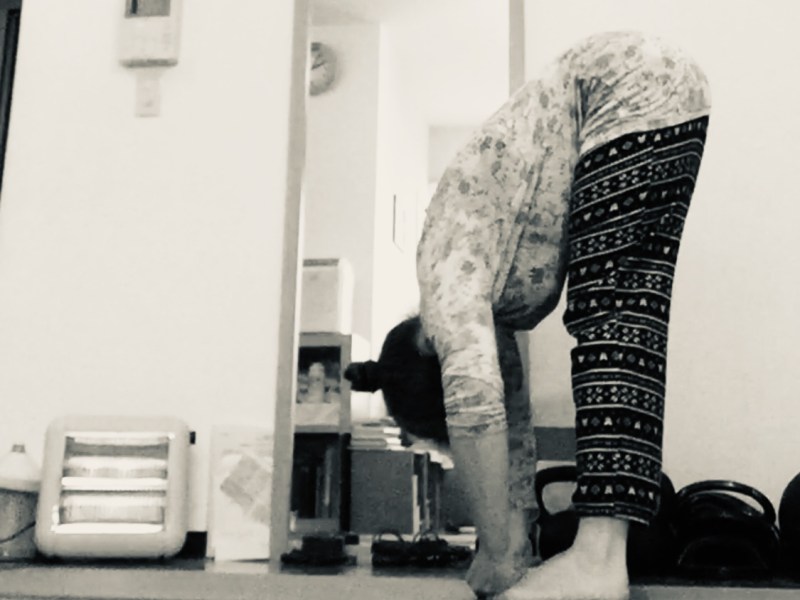 Standing forward bends