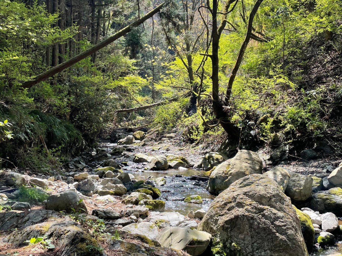 1min Okutama Stream&nbsp;Meditation