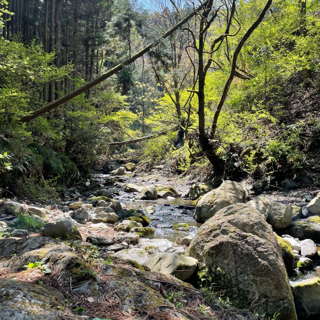 1min Okutama Stream&nbsp;Meditation