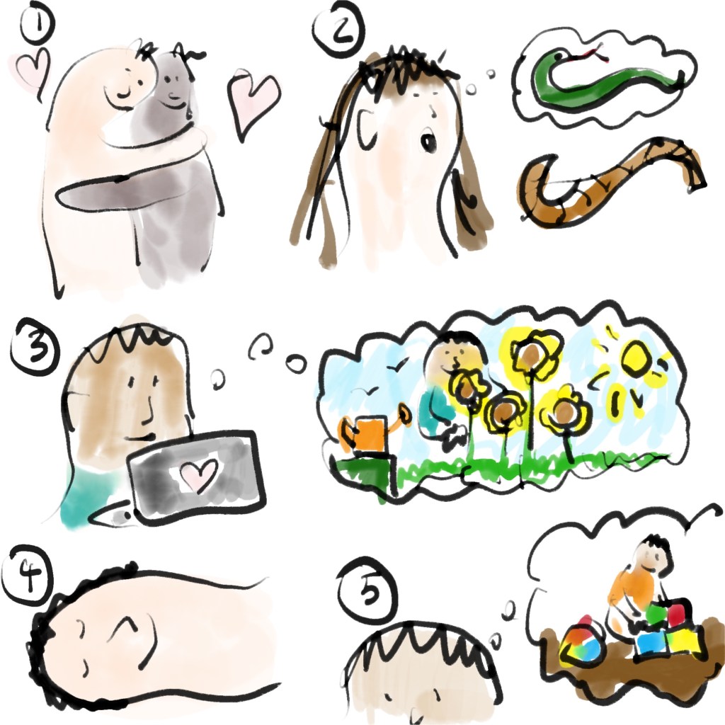 1.6 They are knowledge, misconception, imagination, sleep and&nbsp;memory